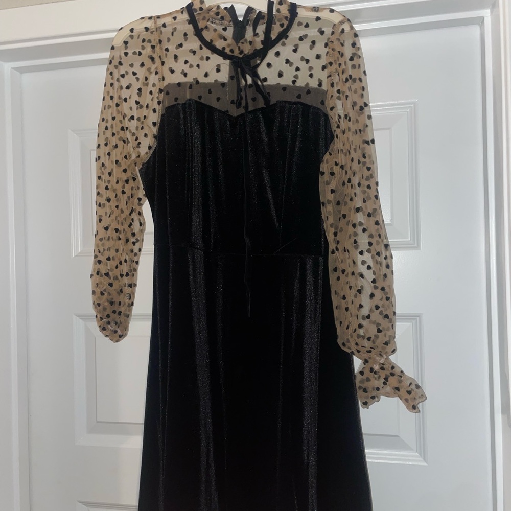 Black Velvet Dress with Sheer Heart Sleeves